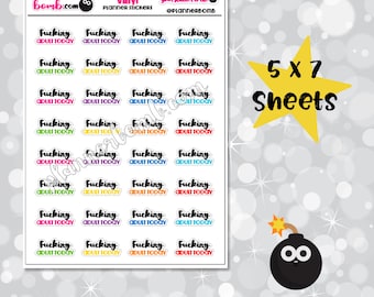 Vinyl F*cking Adult Today Removable Planner Stickers