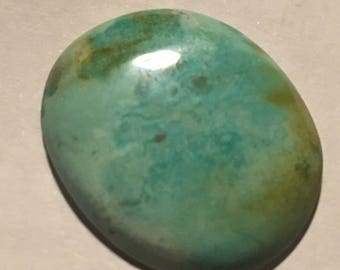 Domestic Turquoise Cabochon #16