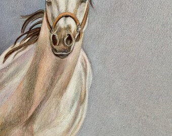 Equine Art original drawing, “Full Circle”