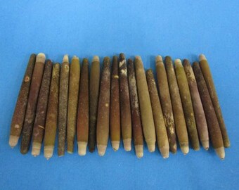 Pencil Sea Urchin Spines (Bag) (EA)