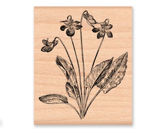 COUNTRY VIOLET-wood mounted rubber stamp (41-26)