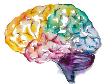 Brain watercolor painting-- watercolor print, brain print, medical art, science art, anatomy illustration, modern anatomy