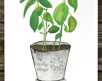 Watercolor Potted Herb Series // Custom Prints // Cilantro // Lavender // Rosemary // Sage // Mint