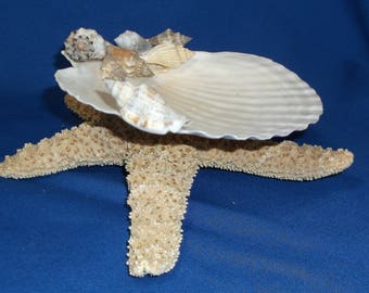 Oregon seashell soap dish, trinket dish, candy dish, accent for your coastal decor