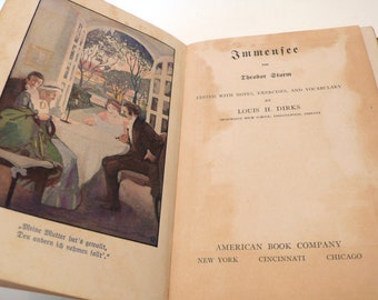 Antique Hardcover German Book Immensee by Theodor Storm 1916
