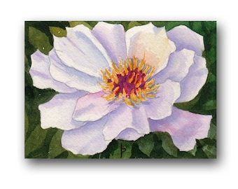 ACEO watercolor PEONY original painting SFA miniature dollhouse mini