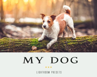 40 My DOG professional lightroom presets