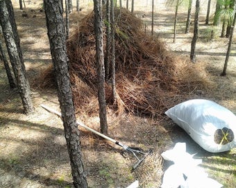 Elliptical baled pine srraw