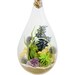 Large Hanging Air Plant Terrarium with Amethyst Crystal / 13" Teardrop Shabby Chic