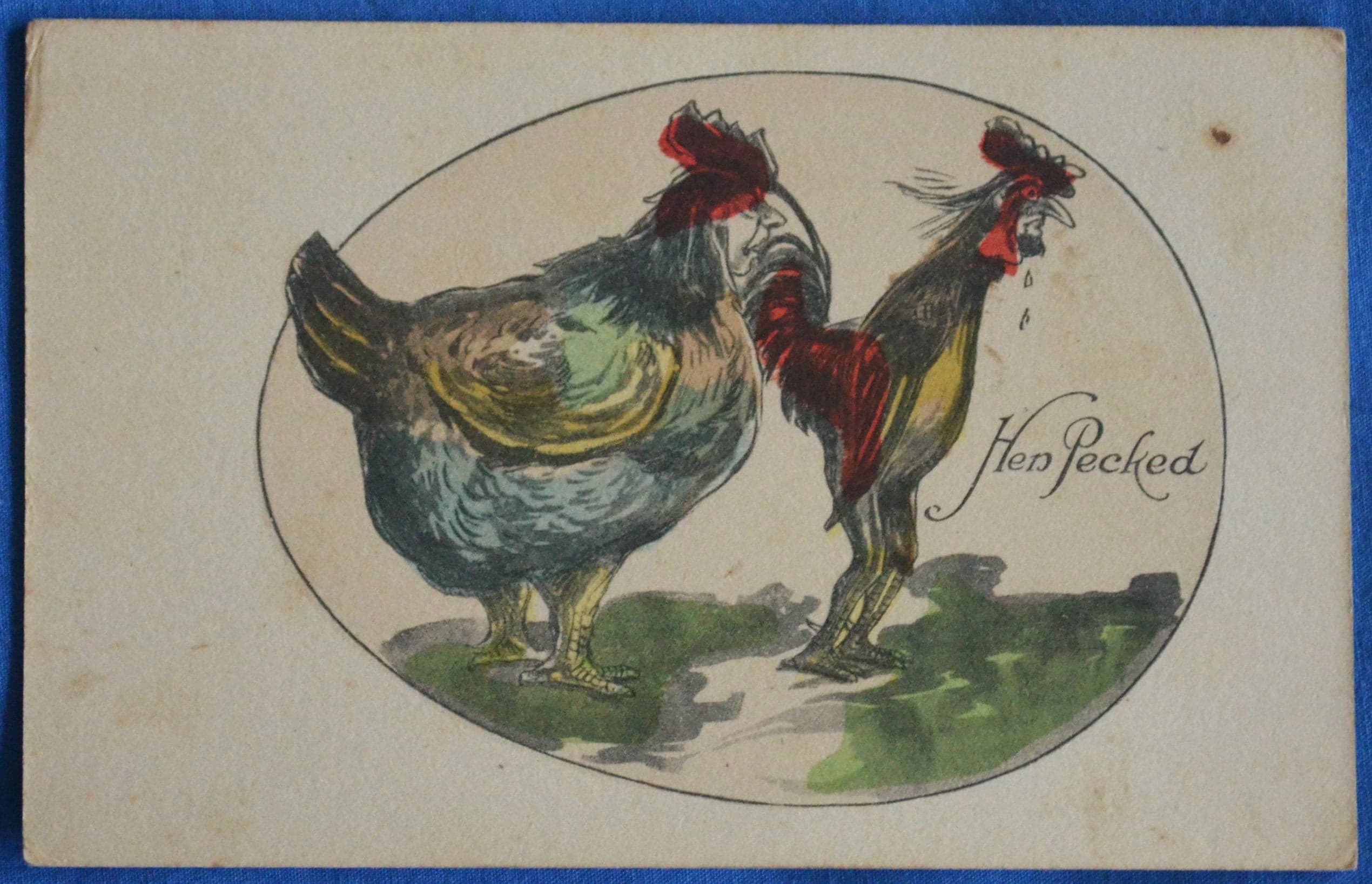 Comic Hen Pecked Antique Postcard Hen Rooster Chicken