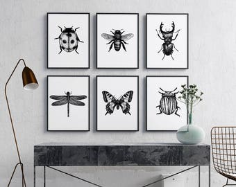 Set of 6 insect illustration Print, black and white, Wall Art, Printable Download, Bug print, hand drawn bugs, monochrome, insect poster.