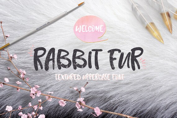 Digital Font Rabbit Fur - Digital Typeface - Hand drawn font - Instant Download