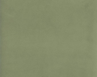 Designer Agave Green Bella Velveteen Home Decorating Fabric, Fabric By The Yard