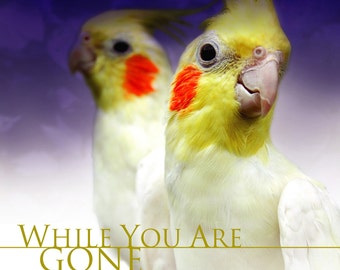 Music Birds Love (CD) While You Are Gone CD (Music for Birds, Cockatoos, Parrots, Parakeets and Bird Music)
