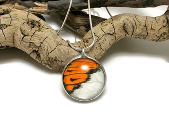 Real Butterfly jewelry, butterfly Wing Necklace, handmade, Colotis eventhe, butterfly Pendant, butterfly wing pendant, butterfly necklace
