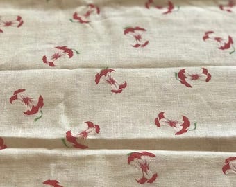 Vintage Multi-Directional Apple Muslin Fabric