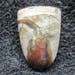 Dino poop copralite freeform cabochon