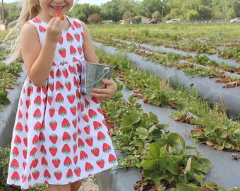 Strawberry Dress, baby dress, toddler dress, girl dress, summer dress, strawberry outfit, summer outfit, fruit dress