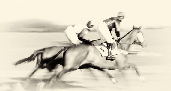 Horse Racing Prints, "Day At The Races", Horse Prints, Equine Prints, Black and White Prints, Horse Jumping Art, Animal Prints