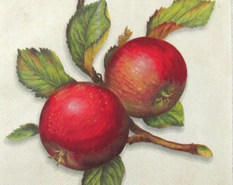 4 Napkins for napkin technique-pear and apple-Blue Angel