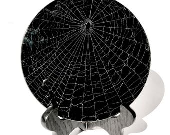Real Spider Web Preserved in 6" Beveled Glass