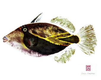 8 x 10 Hawaiian Fish Print Humuhumu Hawaii State Fish Gyotaku