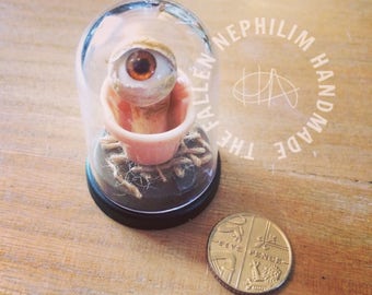Brown Eyed Wirgle in a Dome - Oddity - Oddities - Alien - One eye - Plant Pot -