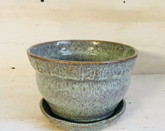 Plant Pot in Layered Fern