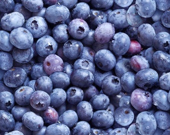 Blueberry Food Berry Good Elizabeth's Studio Fabric 1 yard