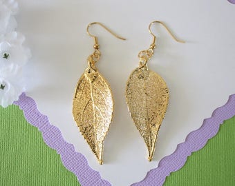 Gold Leaf Earrings, Evergreen Leaf , Real Leaf Earrings, Real Gold Evergreen Leaf, Gold, Nature, LEP58