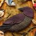 4 card set - Birds of Beebe Woods - Crow, wren, chickadee, nuthatch