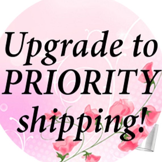 Express shipping upgrade, Shipping duration 1-3 working days after is being Dispatched