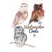 Watercolor Painted Bird Owl Clip Art Owls Commercial use digital scrapbooking Owl clipart instant download