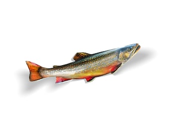 Brook Trout Decal, Brook Trout Sticker, Brook Trout, Trout