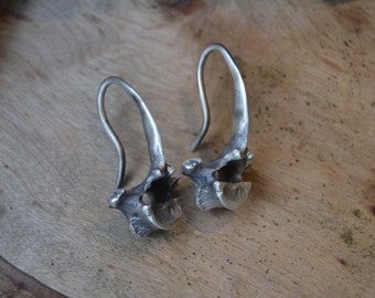 Large Vertebrae ear weights