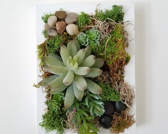 The Ethereal - Faux Succulent and Moss Framed Botanical Art