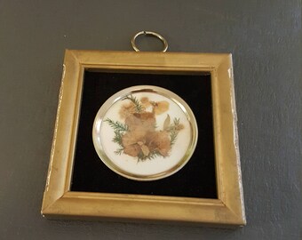 Vintage pressed flowers in gold frame on velvet.