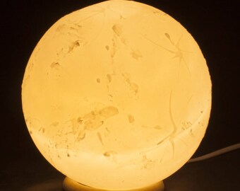 Light translucent porcelain