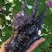 New born Amethyst dragon made from gems, resin, brass, aluminium, copper and steel