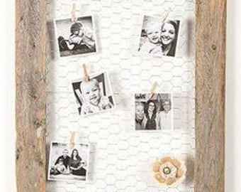 Frame with Chicken wire