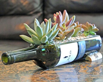 Glass Succulent Planter / Wine Bottle Garden / Wine Gifts / Birthday Gift / Gift Ideas For Her / Gift Ideas For Mom Indoor Plants