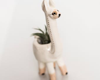 Llama Monomal (llama planter, animal planter, monocle planter, alpaca planter, cute pot, air plant)