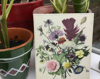 Postcard flowers, painting, garden