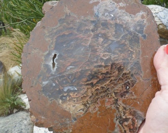 Polished Agate Slab, US, Large Display Piece