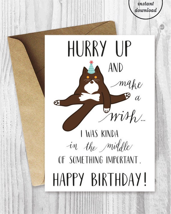 funny birthday printable cards funny british shorthair cat