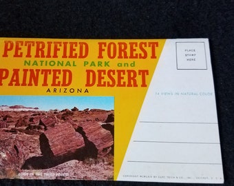 Petrified Forest Vintage Postcard Packet
