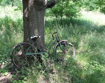 Old Bike Against Tree Photograph