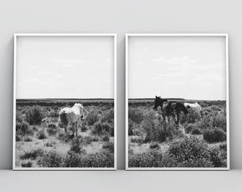Horse Print, Black and White Photography, Horse Print Wall Art, Wild Horse Photo, Wilderness Print, Equestrian, Printable Art, Set of 2 Art