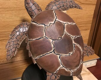 Loggerhead Turtle