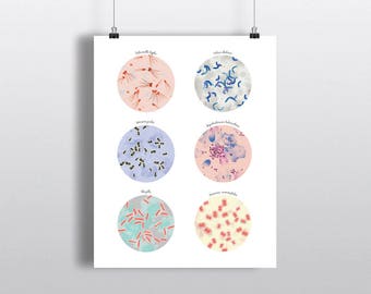 Epidemic Bacteria Poster, Salmonella, Cholera, Yersinia pestis, Tuberculosis, Shigella, Meningitidis, Art, 5 x 7 in, 8 x 10 in, 11 x 14 in